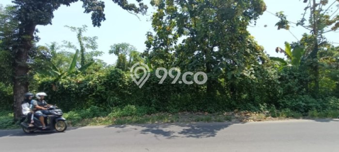 Lahan Investasi Lokasi Ngaliyan Semarang SHM Lahan Investasi Lokasi Ngaliyan Semarang SHM