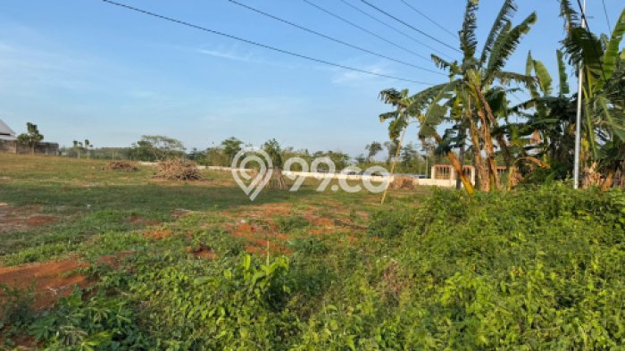 Tanah Kavling di Mlonggo Dijual dengan Luas 5450m2 Tanah Kavling di Mlonggo Dijual dengan Luas 5450m2
