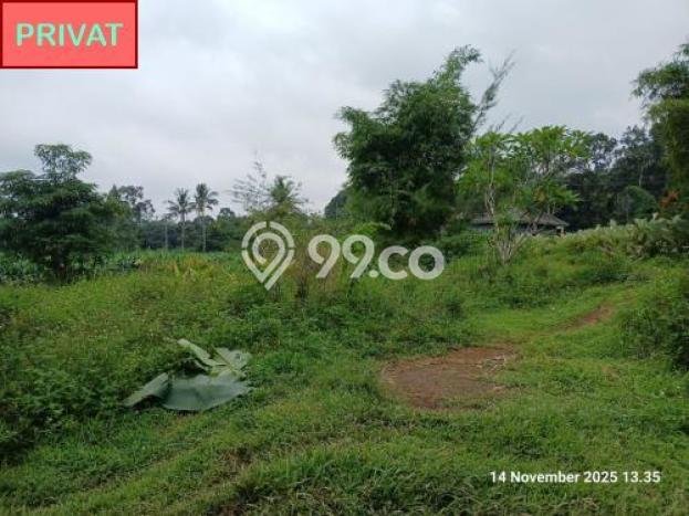 Tanah Kavling untuk Dijual di Boja Kendal 1790m2 Tanah Kavling untuk Dijual di Boja Kendal 1790m2