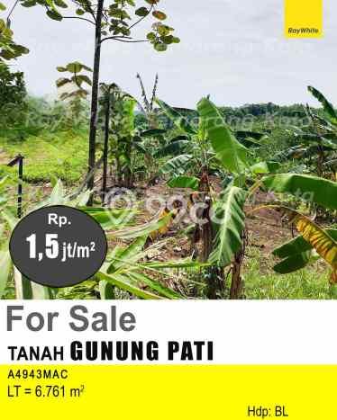Tanah di Gunung Pati, Semarang Luas 6761m2 Dijual Segera Tanah di Gunung Pati, Semarang Luas 6761m2 Dijual Segera