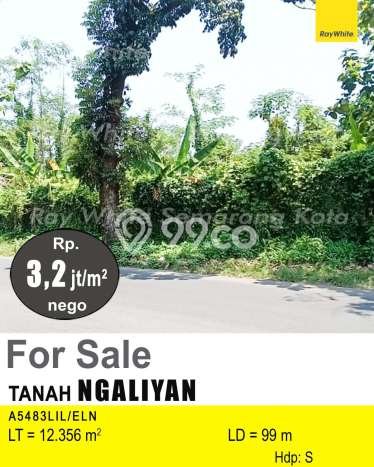 Lahan Investasi Lokasi Ngaliyan Semarang SHM Lahan Investasi Lokasi Ngaliyan Semarang SHM