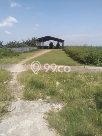 Unit Gudang Dijual di Demak Demak Luas Bangunan 1000m2 Unit Gudang Dijual di Demak Demak Luas Bangunan 1000m2
