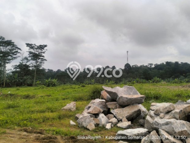 Lahan Kosong Dijual di Semarang dengan Area 13010m2 Lahan Kosong Dijual di Semarang dengan Area 13010m2