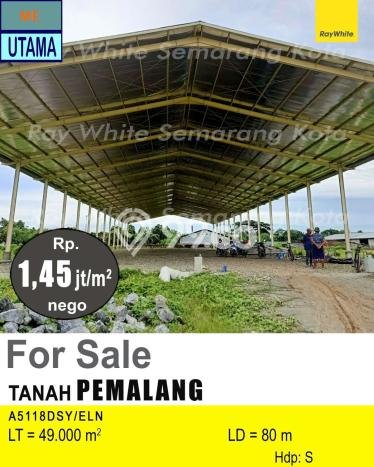 Lahan Dijual Lokasi Pemalang, Pemalang dengan Luas Tanah 49000m2 dan Status SHM Lahan Dijual Lokasi Pemalang, Pemalang dengan Luas Tanah 49000m2 dan Status SHM