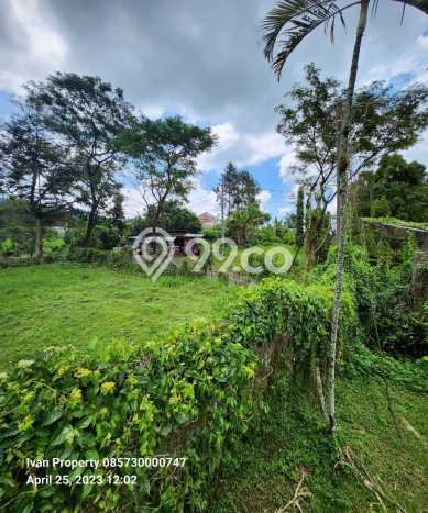 PELUANG INVESTASI! Vila Kawasan Prigen, Area 11000m2m², Prospek Bagus PELUANG INVESTASI! Vila Kawasan Prigen, Area 11000m2m², Prospek Bagus