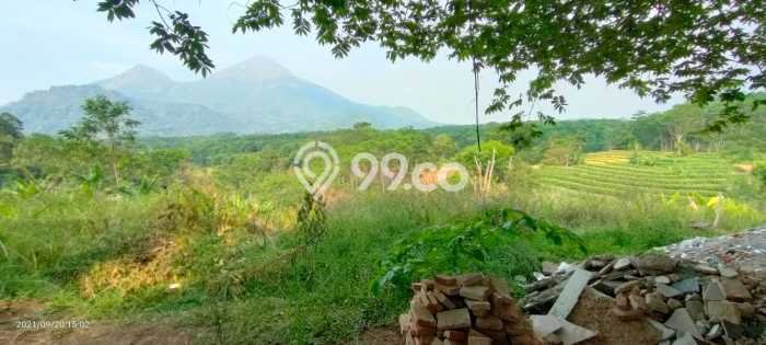Kavling Tanah di Trawas Dijual Luas 4360m2 Legalitas SHM Kavling Tanah di Trawas Dijual Luas 4360m2 Legalitas SHM