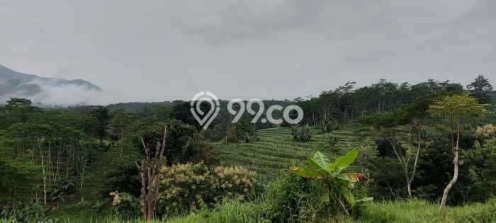 Kavling Tanah di Trawas Dijual Luas 4360m2 Legalitas SHM Kavling Tanah di Trawas Dijual Luas 4360m2 Legalitas SHM
