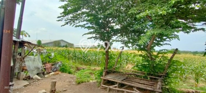 Lahan untuk Dijual di Sukorejo Pasuruan Luas 9m2 Lahan untuk Dijual di Sukorejo Pasuruan Luas 9m2