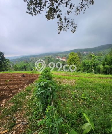 Tanah Kavling untuk Dijual di Prigen Pasuruan 2200m2 Tanah Kavling untuk Dijual di Prigen Pasuruan 2200m2