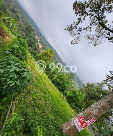 Tanah Kavling untuk Dijual di Prigen Pasuruan 2200m2 Tanah Kavling untuk Dijual di Prigen Pasuruan 2200m2