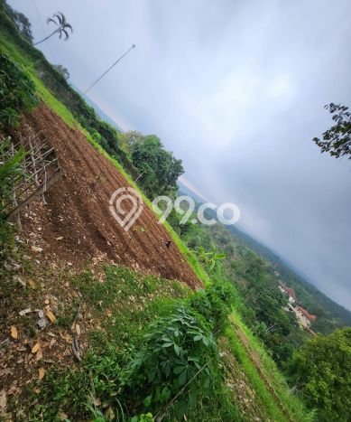 Tanah Kavling untuk Dijual di Prigen Pasuruan 2200m2 Tanah Kavling untuk Dijual di Prigen Pasuruan 2200m2