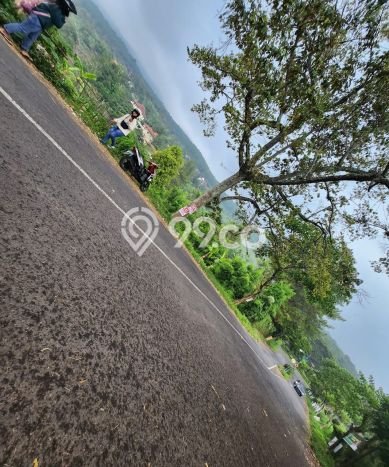 Tanah Kavling untuk Dijual di Prigen Pasuruan 2200m2 Tanah Kavling untuk Dijual di Prigen Pasuruan 2200m2