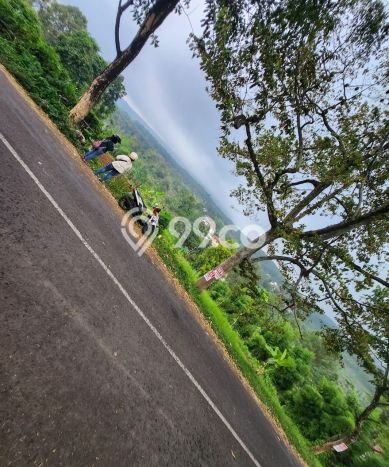 Tanah Kavling untuk Dijual di Prigen Pasuruan 2200m2 Tanah Kavling untuk Dijual di Prigen Pasuruan 2200m2