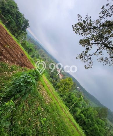 Tanah Kavling untuk Dijual di Prigen Pasuruan 2200m2 Tanah Kavling untuk Dijual di Prigen Pasuruan 2200m2