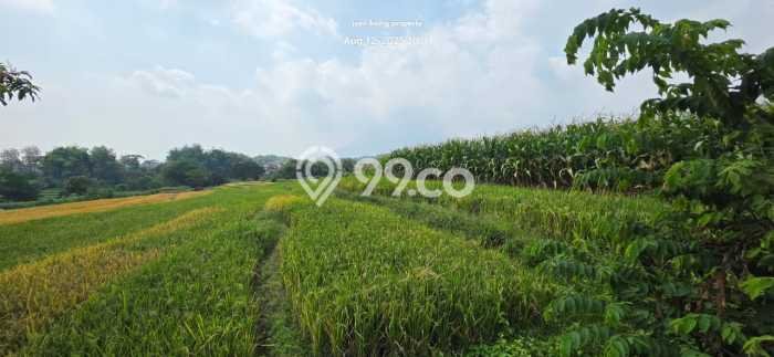 Lahan Investasi Lokasi Pacet Mojokerto SHM Lahan Investasi Lokasi Pacet Mojokerto SHM
