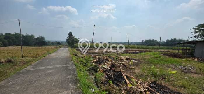 Lahan Investasi Lokasi Pacet Mojokerto SHM Lahan Investasi Lokasi Pacet Mojokerto SHM