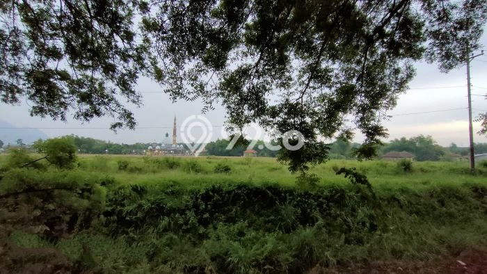 Tanah untuk Dijual di Pandaan Pasuruan Luas 43000m2 Tanah untuk Dijual di Pandaan Pasuruan Luas 43000m2