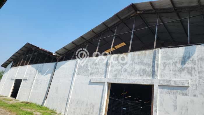 Tersedia Gudang Bisnis di Beji Pasuruan Harga Sewa Menarik Bisa Nego Tersedia Gudang Bisnis di Beji Pasuruan Harga Sewa Menarik Bisa Nego