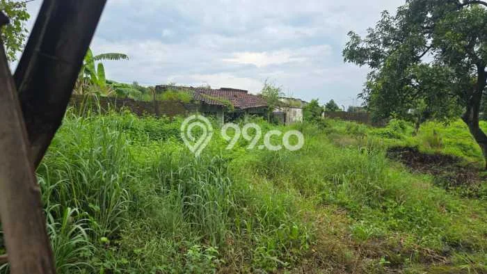 Lahan Kosong Dijual di Beji, Pasuruan, Luas 8000m2 Area Strategis Lahan Kosong Dijual di Beji, Pasuruan, Luas 8000m2 Area Strategis