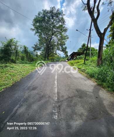 PELUANG INVESTASI! Vila Kawasan Prigen, Area 11000m2m², Prospek Bagus PELUANG INVESTASI! Vila Kawasan Prigen, Area 11000m2m², Prospek Bagus