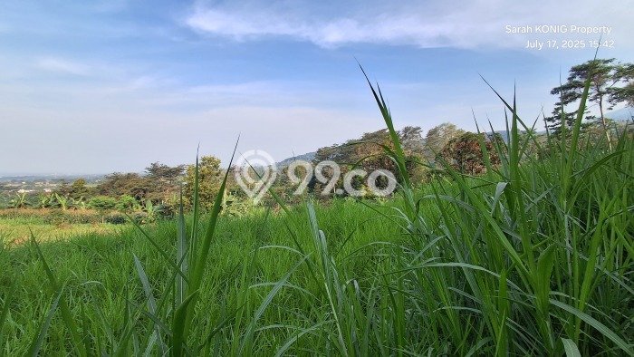 Tanah Dijual Lokasi Prigen, Pasuruan Luas 20000m2 Legalitas Aman Tanah Dijual Lokasi Prigen, Pasuruan Luas 20000m2 Legalitas Aman