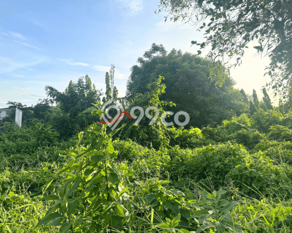 Tanah Dijual Lokasi Strategis di Jakarta Selatan dengan Luas 3000m2 Tanah Dijual Lokasi Strategis di Jakarta Selatan dengan Luas 3000m2