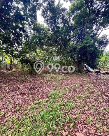 Lahan Strategis di Jagakarsa Dijual dengan Luas 3700m2 Lahan Strategis di Jagakarsa Dijual dengan Luas 3700m2