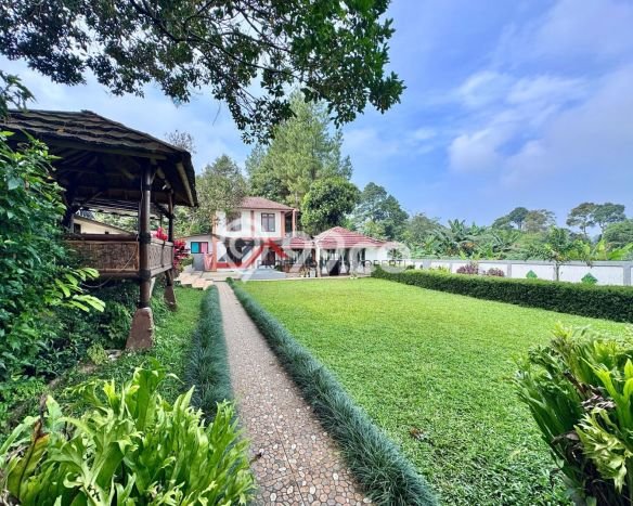 PELUANG INVESTASI! Vila Kawasan , Area 1850m2m², Hasil Menjanjikan PELUANG INVESTASI! Vila Kawasan , Area 1850m2m², Hasil Menjanjikan