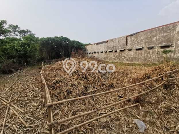 Kavling Tanah di Cisauk Dijual Luas 432m2 Legalitas SHM Kavling Tanah di Cisauk Dijual Luas 432m2 Legalitas SHM