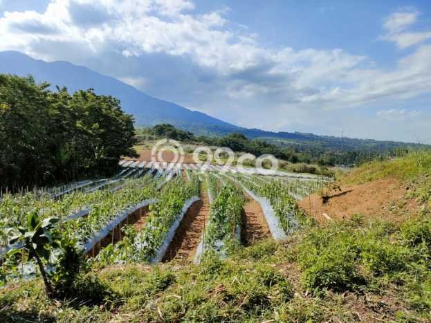 Lahan Strategis di Cicurug Dijual dengan Luas 64651m2 Lahan Strategis di Cicurug Dijual dengan Luas 64651m2