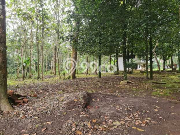 Lahan Strategis di Cicurug Dijual dengan Luas 64651m2 Lahan Strategis di Cicurug Dijual dengan Luas 64651m2