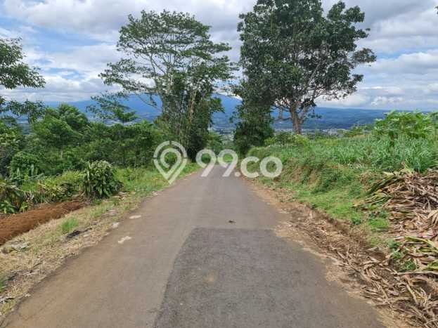 Lahan Strategis di Cicurug Dijual dengan Luas 64651m2 Lahan Strategis di Cicurug Dijual dengan Luas 64651m2