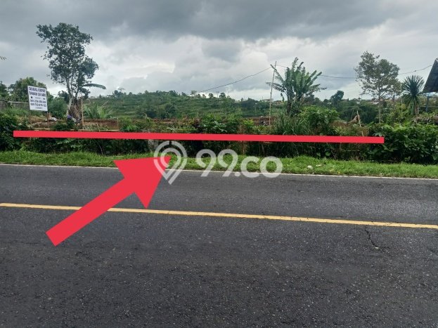 Tanah di Baturiti, Tabanan Luas 1000m2 Dijual Segera Tanah di Baturiti, Tabanan Luas 1000m2 Dijual Segera
