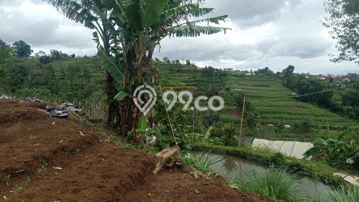 Tanah di Baturiti, Tabanan Luas 1000m2 Dijual Segera Tanah di Baturiti, Tabanan Luas 1000m2 Dijual Segera