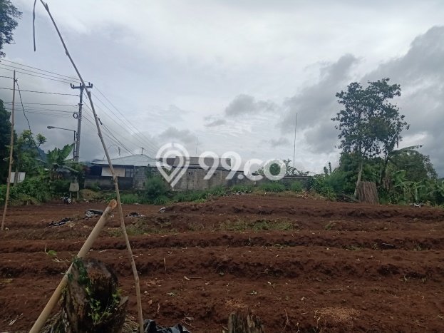 Tanah di Baturiti, Tabanan Luas 1000m2 Dijual Segera Tanah di Baturiti, Tabanan Luas 1000m2 Dijual Segera
