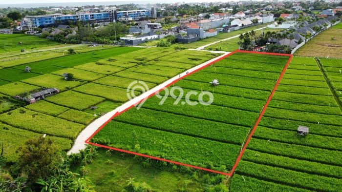 Kavling Tanah untuk Dijual di Canggu, Badung, Luas 350m2 Kavling Tanah untuk Dijual di Canggu, Badung, Luas 350m2