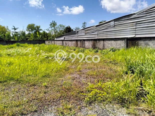 Tanah Kavling Dijual di Jimbaran, Badung dengan Luas Tanah 1505m2 Tanah Kavling Dijual di Jimbaran, Badung dengan Luas Tanah 1505m2