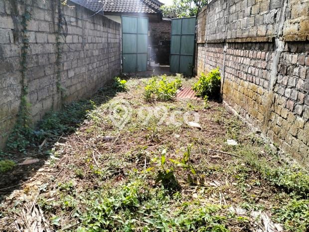 Lahan untuk Dijual di Denpasar Utara Denpasar Luas 545m2 Lahan untuk Dijual di Denpasar Utara Denpasar Luas 545m2