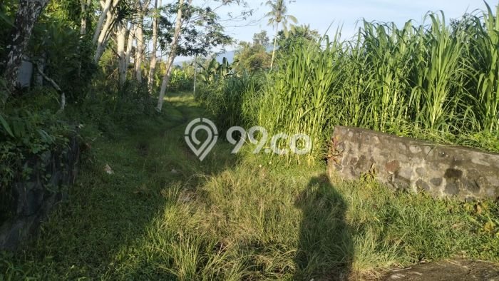 Kavling Tanah untuk Dijual di Luwus, Tabanan, Luas 13875m2 Kavling Tanah untuk Dijual di Luwus, Tabanan, Luas 13875m2