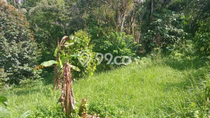 Tanah Dijual di Tabanan Seluas 1870m2 Strategis Tanah Dijual di Tabanan Seluas 1870m2 Strategis