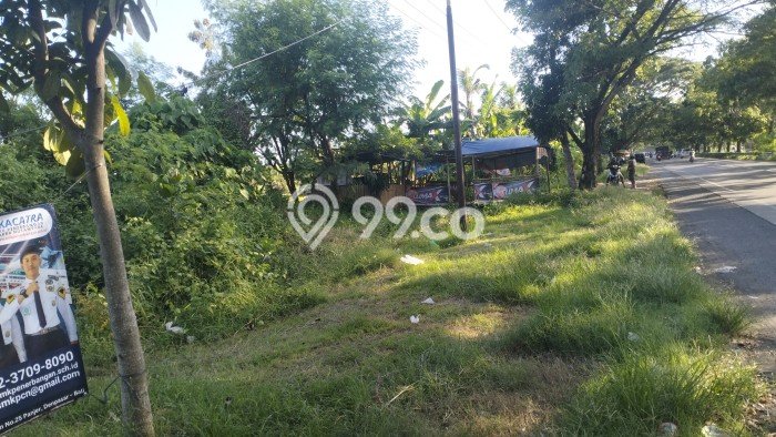 Tanah Kavling Dijual di Tulikup, Gianyar dengan Luas Tanah 6650m2 Tanah Kavling Dijual di Tulikup, Gianyar dengan Luas Tanah 6650m2