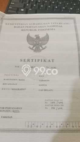 Tanah Kavling Dijual di Tabanan dengan Spesifikasi 1000m2 Tanah Kavling Dijual di Tabanan dengan Spesifikasi 1000m2