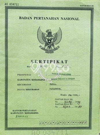 Jarang Ada! Tanah di Marga Punya Luas 212m2 SHM Jarang Ada! Tanah di Marga Punya Luas 212m2 SHM