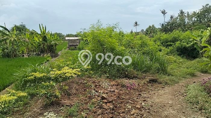 Tanah Dijual Lokasi Strategis di Gianyar dengan Luas 2200m2 Tanah Dijual Lokasi Strategis di Gianyar dengan Luas 2200m2