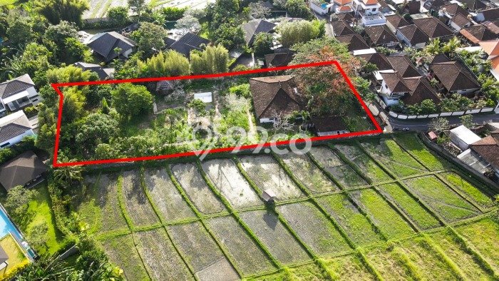 Dijual Tanah 2179m2 di Canggu, Badung Dijual Tanah 2179m2 di Canggu, Badung
