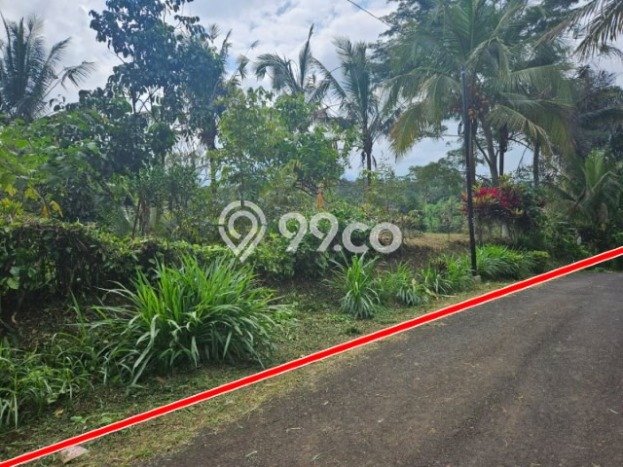 Dijual Tanah Lokasi Pupuansawah, Tabanan Seluas 4200m2 Dijual Tanah Lokasi Pupuansawah, Tabanan Seluas 4200m2