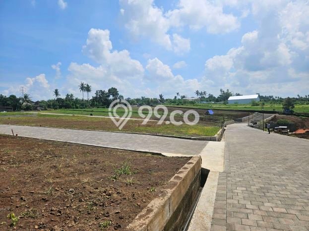 Jarang Ada! Tanah di Tabanan Punya Luas 200m2 SHM Jarang Ada! Tanah di Tabanan Punya Luas 200m2 SHM