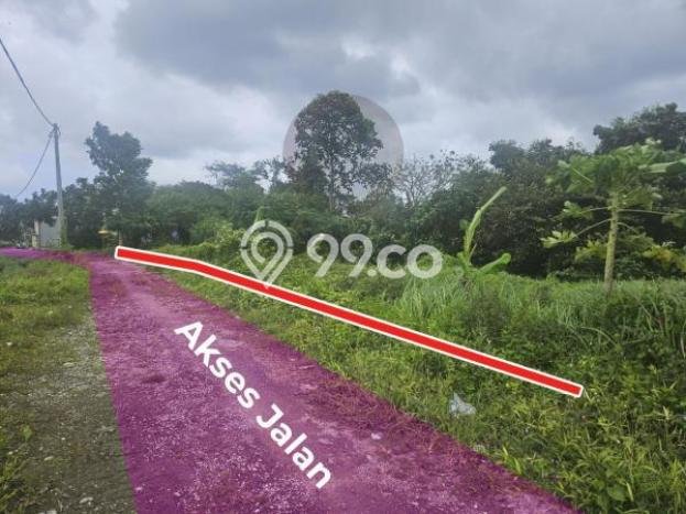 Tanah Investasi Dijual di Tabanan Punya Luas 735m2 Tanah Investasi Dijual di Tabanan Punya Luas 735m2