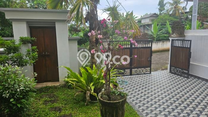 Rumah cantik, bersih view hutan kecil dengan gemercik air di tengah kota Tabanan Rumah cantik, bersih view hutan kecil dengan gemercik air di tengah kota Tabanan