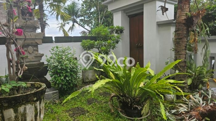 Rumah cantik, bersih view hutan kecil dengan gemercik air di tengah kota Tabanan Rumah cantik, bersih view hutan kecil dengan gemercik air di tengah kota Tabanan